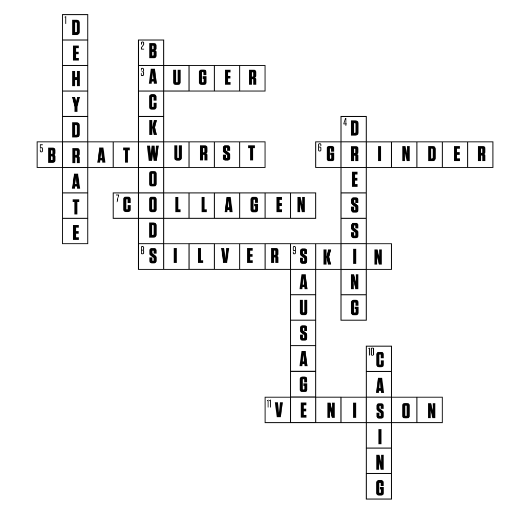 LEM Crossword Puzzle