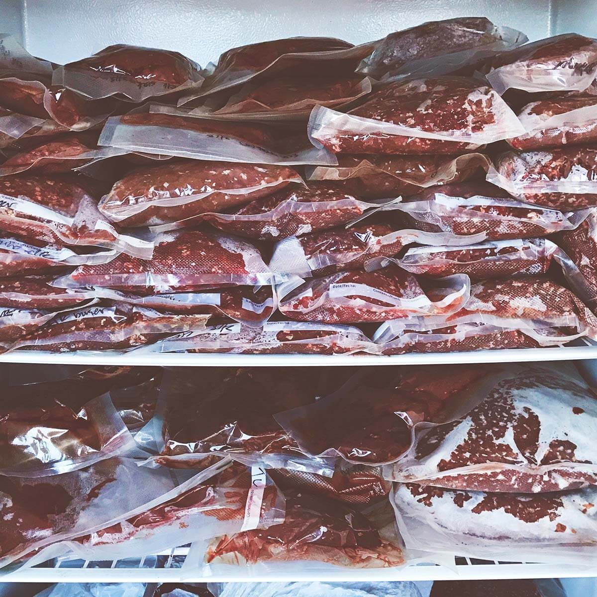 5 Faqs About Storing Transporting And Butchering Deer Into Venison 